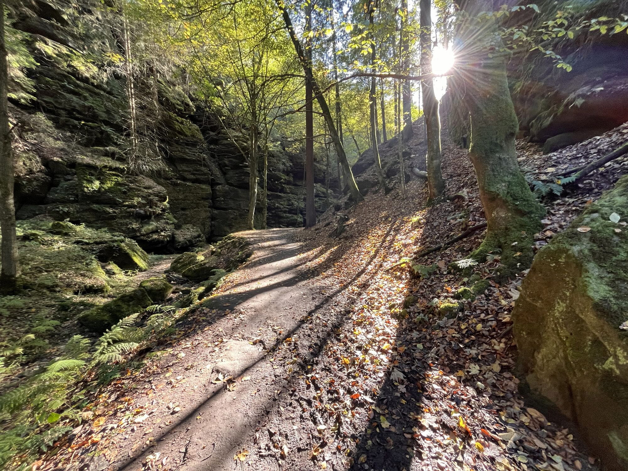 Aussicht auf den Malerweg